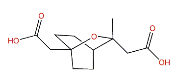 7,9-Dicineolic acid